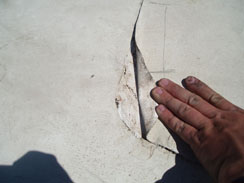 Flat Roof Repair Albert Lea, MN 1