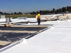 Roof Coating1