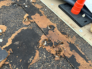 Flat Roof Repair Albert Lea, MN 1